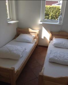 two beds in a room with two windows at Huisje Finn park de Horn in Dirkshorn