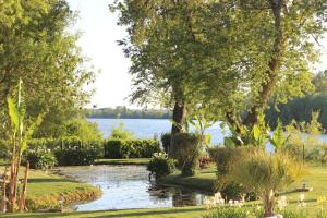 - Vistas al lago desde un parque con árboles en Clos Bernon en Libourne