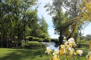 a garden with a pond and flowers at Clos Bernon in Libourne