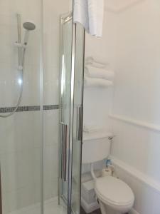 a white bathroom with a toilet and a shower at Anton Guest House Bed and Breakfast in Shrewsbury