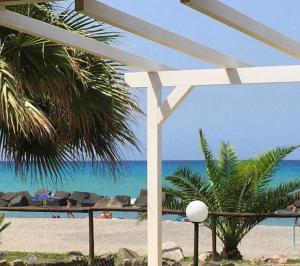 Blick auf einen Strand mit einer Palme und das Meer in der Unterkunft Villa Sasà in Belvedere Marittimo