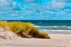a sandy beach with a view of the ocean at Buhne 10 App Nr 26 max 2 Pers in Dierhagen