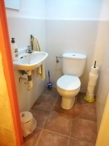 La salle de bains est pourvue de toilettes et d'un lavabo. dans l'établissement Albergue el Hacedor, à La Aldea del Portillo de Busto