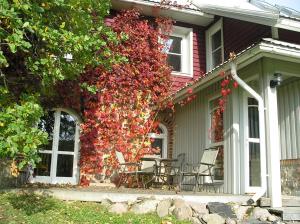 une maison avec une table et des chaises à côté d'une vigne rouge dans l'établissement Pohlametsa Holiday House, à Nüpli