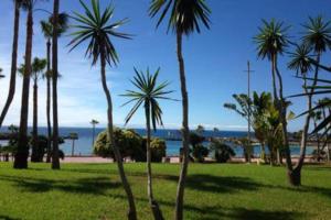 a group of palm trees in a park with the ocean at Sonora Aircon Bungalow 121 in Maspalomas