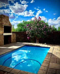a swimming pool in a yard with a flowering tree at Casa Calida Guest House in Upington