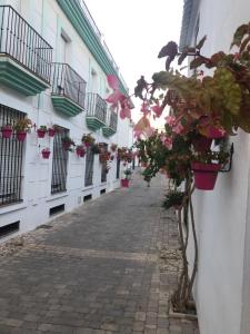 The building in which A villát is located