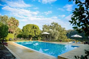 einen Pool im Garten mit Stühlen und Sonnenschirmen in der Unterkunft MyStay - Quinta dos Vieiras in Mosteiro