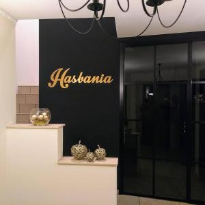 a store with a black and gold sign on the wall at Hasbania in Gingelom