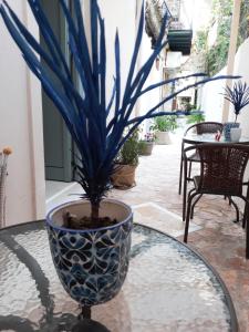 a potted plant sitting on a glass table at Lefkada Princess Junior Suite in Lefkada Town