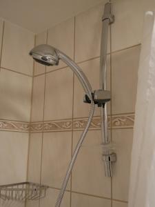 a shower with a shower head in a bathroom at Western-Inn in Klipphausen