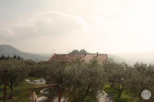 a house in an orchard with olive trees in front at Locanda Viridarium in Arquà Petrarca