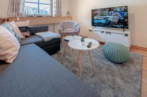 ein Wohnzimmer mit einem Sofa und einem TV in der Unterkunft Tegernsee Freihaus Studio in Bad Wiessee