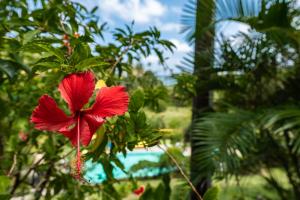 Taman di luar Firefly Estate Bequia
