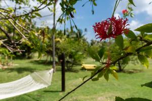 Taman di luar Firefly Estate Bequia