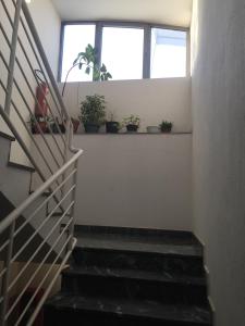 Fotografie z fotogalerie ubytování Kraljevski apartman v destinaci Kraljevo