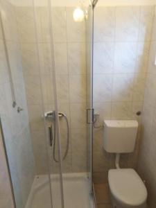 a bathroom with a shower with a toilet and a sink at Apartments and rooms Nediljko in Bibinje