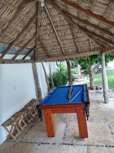 a blue pool table sitting under a thatch roof at Casa de Dona Diana in Barreirinhas