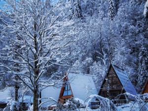 a house covered in snow next to a tree at KOTİT AYDER in Ayder Yaylasi