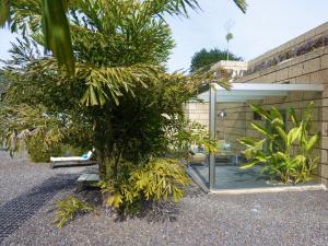 a room with a mirror and some plants at Eco Suites Caves in La Laguna