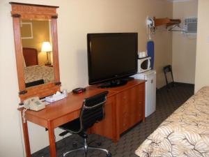 een slaapkamer met een bureau, een televisie en een spiegel bij Forest Plaza Motel in Mount Forest
