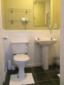 een badkamer met een wit toilet en een wastafel bij Tregiffian Farm B&B in Penzance +13 foto's
