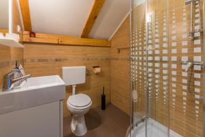 La salle de bains est pourvue de toilettes, d'un lavabo et d'une douche. dans l'établissement Śumska kuća, à Bribir