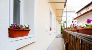 ブラチスラヴァにあるLEO Apartment Obchodna - Deluxの窓口の花鉢付きの廊下