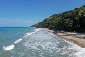 a beach with palm trees and the ocean at La Jorará in Palomino