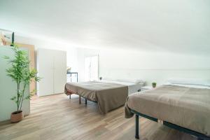 a bedroom with two beds and a potted plant at Residence Comfort in Lido di Jesolo