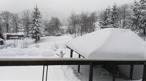 um quintal coberto de neve com uma casa e árvores em Dom "Honorat", Kamianna 70, 33-336 em Kamianna