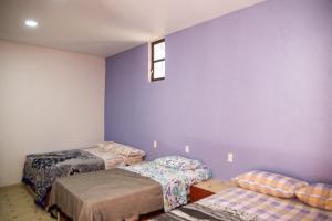 a bedroom with two beds and a purple wall at Hotel Cuauhtemoc in Quer&eacute;taro