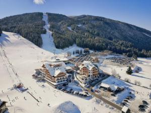 Obiekt ALMGUT - Mountain Wellness Hotel zimą