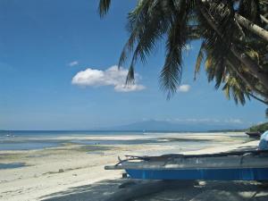 a beach with a palm tree and a boat on it at Lapyahan Guest House in Siquijor +13 photos