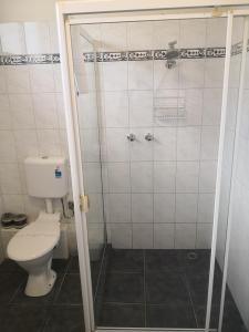 a bathroom with a toilet and a shower at Dandenong Motel in Dandenong