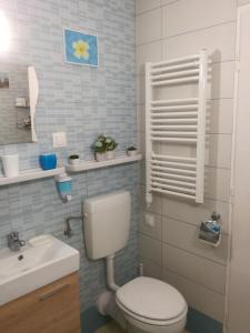 A bathroom at Maxim Ház