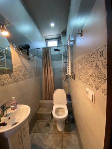 ein Bad mit einem WC und einem Waschbecken in der Unterkunft Terrace Mtatsminda in Tbilisi City