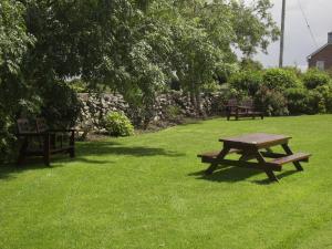 Vườn quanh Springlawn
