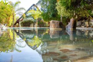 a swimming pool with rocks in the water at Out of Africa Town Lodge in Otjiwarongo