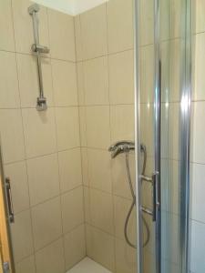 baño con ducha y puerta de cristal en OSiR w Człuchowie, en Czluchów