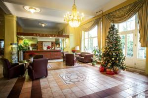 a christmas tree in the lobby of a hospital at Polonia in Kudowa-Zdrój