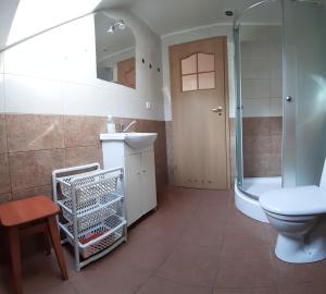a bathroom with a toilet and a sink and a shower at Agroturystyka Pod Rumakiem in Chęciny