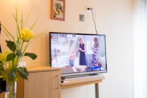 TV a/nebo společenská místnost v ubytování Hotel Restaurant Zur Neroburg