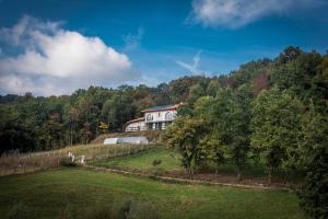 een wit huis bovenop een heuvel bij Agriturismo "La Collina" - 15km dal centro di Torino in Baldissero Torinese