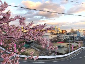 Φωτογραφία από το άλμπουμ του Izu Hokkawa Seaside Guesthouse 伊豆北川の家 σε Higashiizu