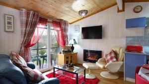 a living room with a couch and a fireplace at Bluebell Lodge set in a Beautiful 24 acre Woodland Holiday Park in Newcastle Emlyn