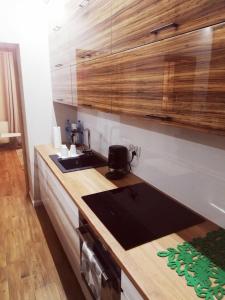 Kuchyňa alebo kuchynka v ubytovaní Apartamenty przy Gimnazjalnej