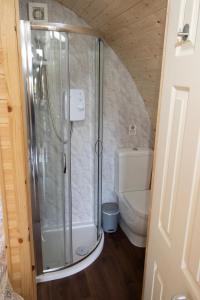 a bathroom with a shower and a toilet at Breakish Bay Pods in Breakish