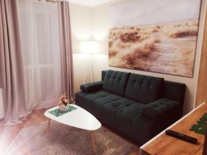 ein Wohnzimmer mit einem schwarzen Sofa und einem Tisch in der Unterkunft Apartamenty przy Gimnazjalnej in Bydgoszcz