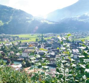 ツェル・アム・ツィラーにあるHotel Garni Maximilianの山を背景にした谷の町